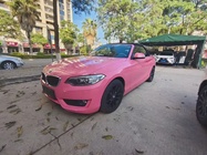 BMW 2 Series 2017