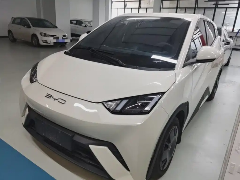 BYD Seagull