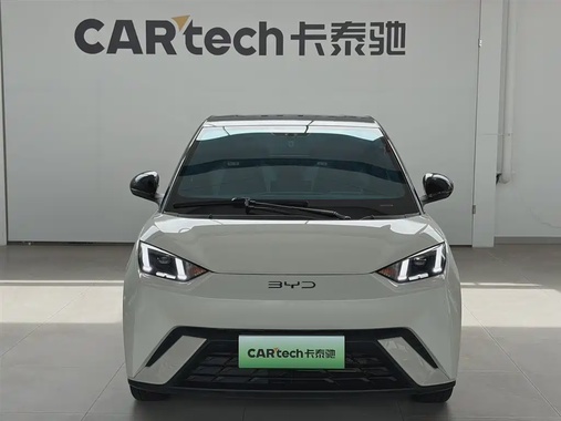 BYD Seagull 2024