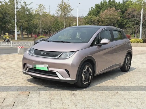 BYD Dolphin 2022