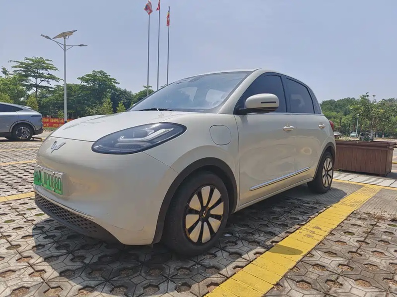 Wuling Bingo