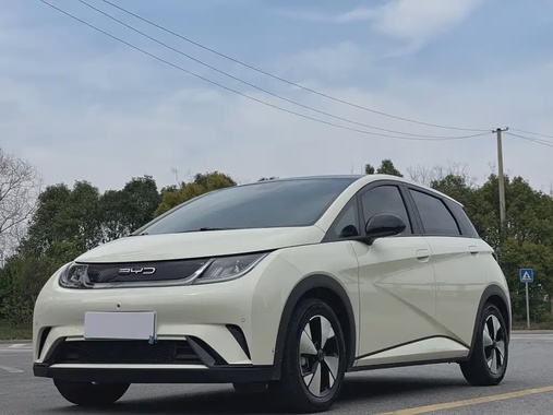 BYD Dolphin 2024