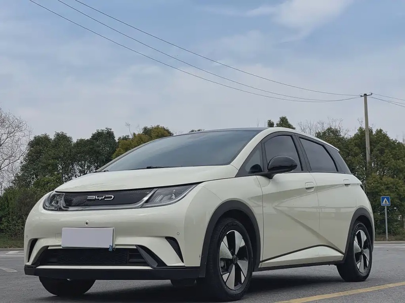 BYD Dolphin