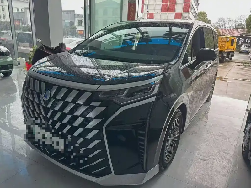 Denza D9