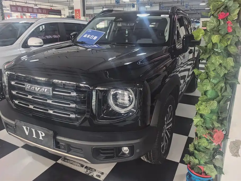 Haval Big Dog