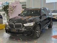 BMW X5 2022