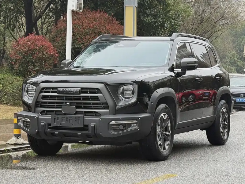 Haval Big Dog