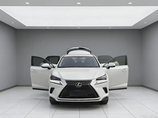 Lexus NX 2020