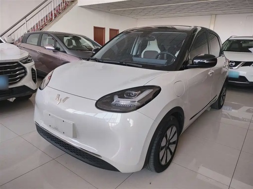 Wuling Bingo 2024