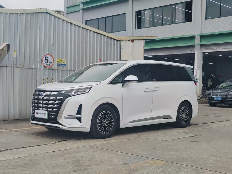 Denza D9