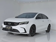 Geely Binrui 2021