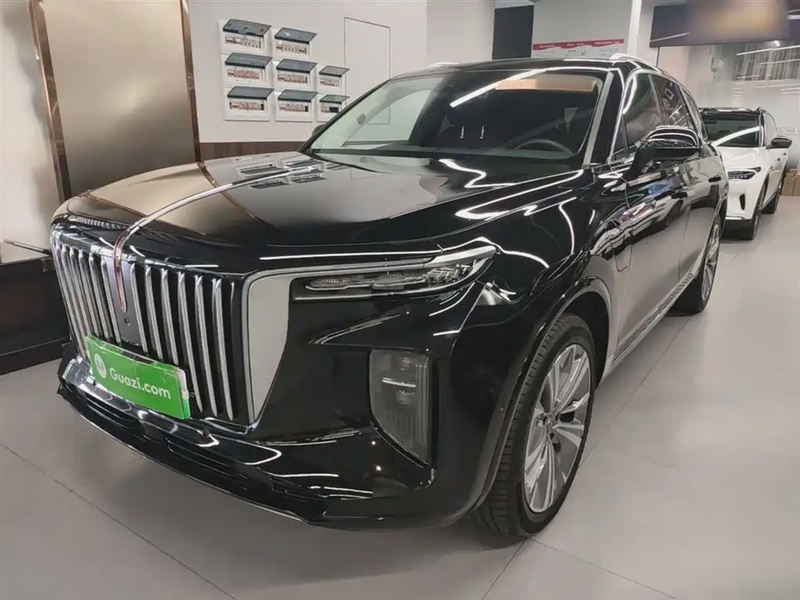 Hongqi E-HS9