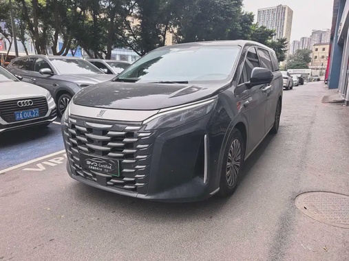 BYD Xia 2025