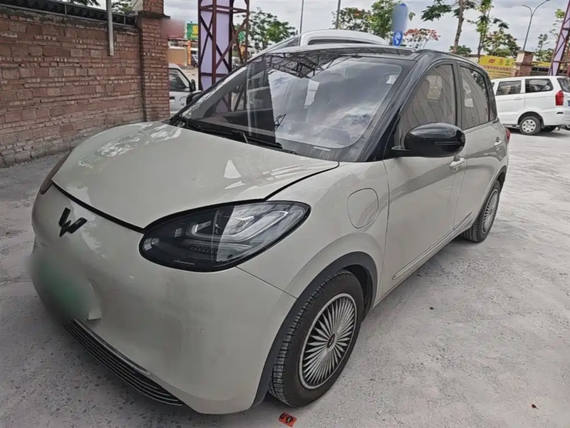 Wuling Bingo