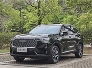 Haval H6 2021