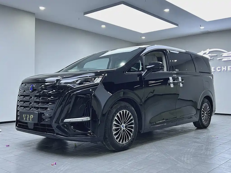 Denza D9