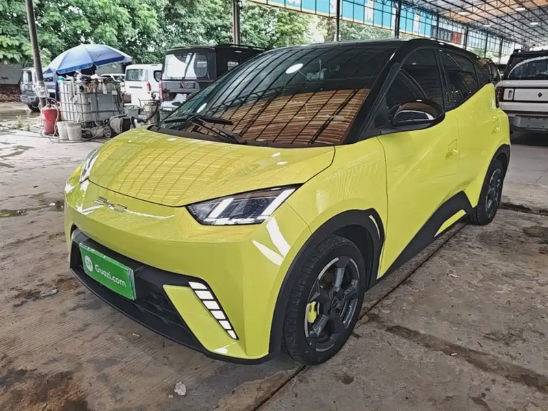 BYD Seagull