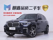 BMW X5 2023