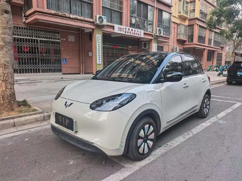 Wuling Bingo
