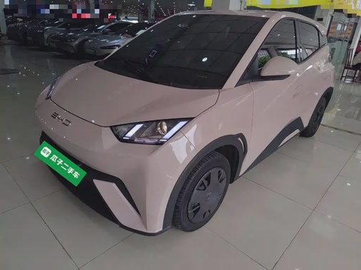 BYD Seagull 2024
