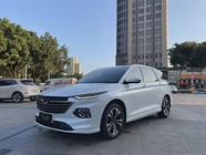 Wuling Victory 2021