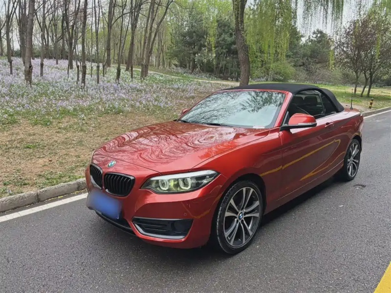 BMW 2 Series
