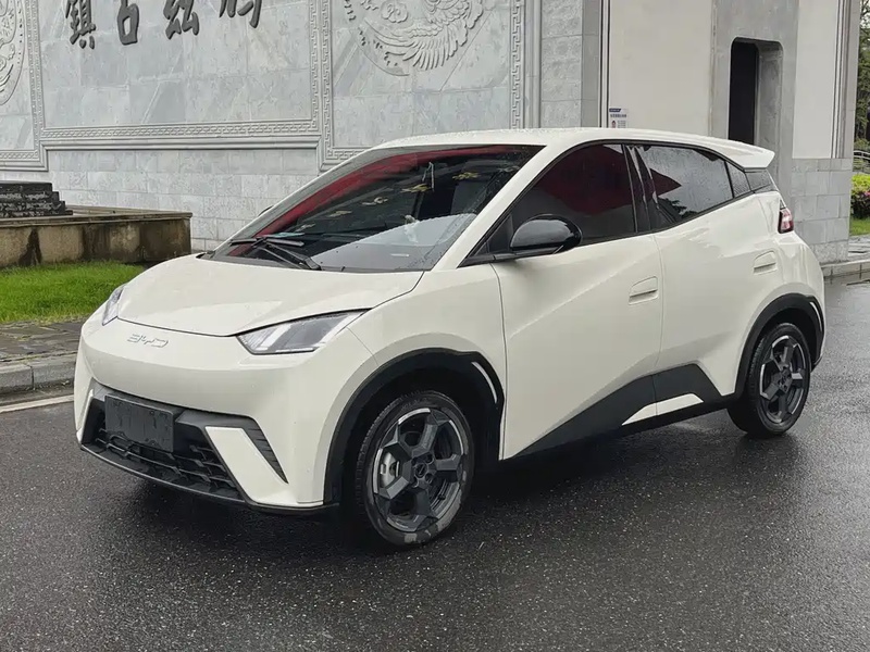 BYD Seagull