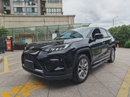 Toyota Wildlander 2021