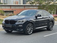 BMW X4 2019
