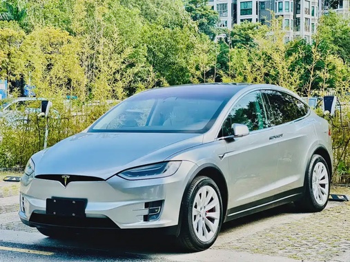 Tesla Model X 2019