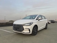 BYD MAX 2024