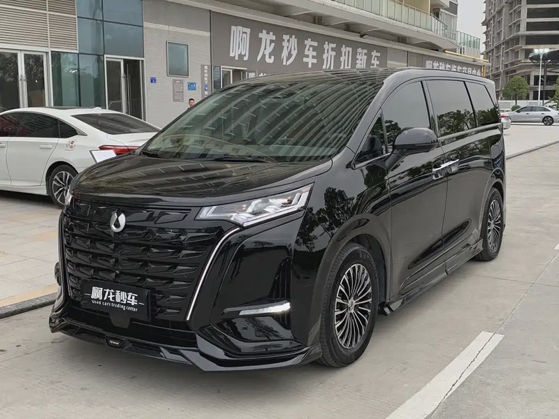 Denza D9