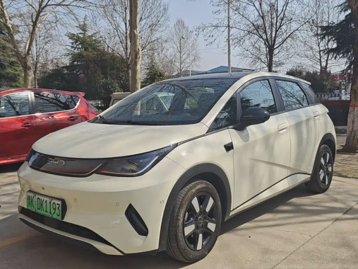BYD Dolphin 2025