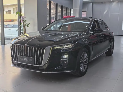 Hongqi H5 2023