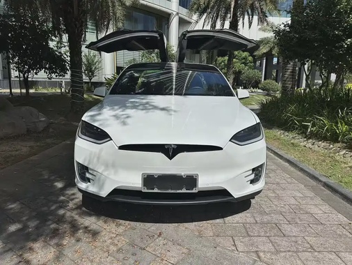 Tesla Model X 2018