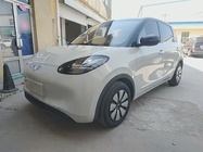 Wuling Bingo 2024