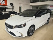 Geely Binrui 2021