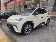 BYD Seagull 2024
