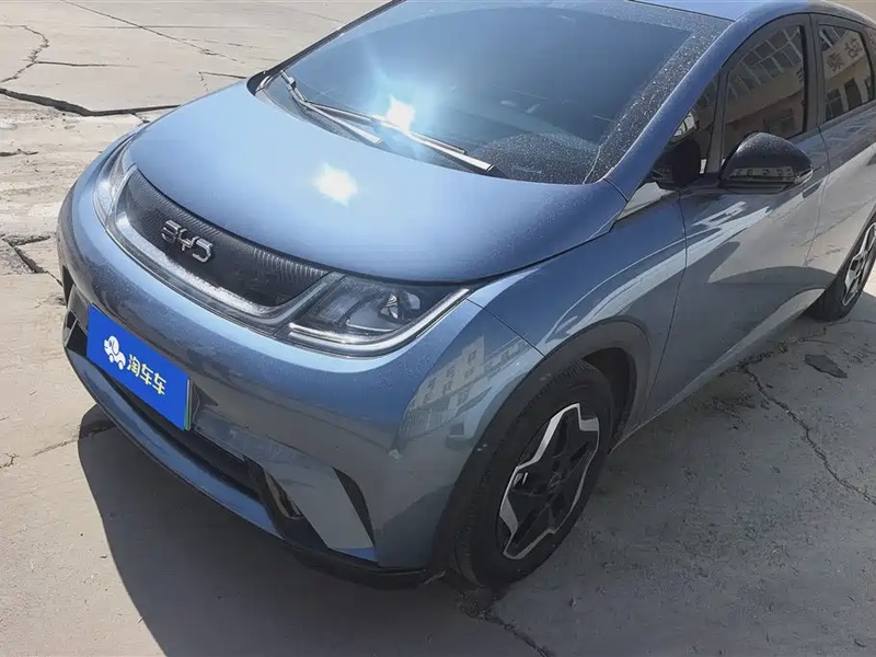 BYD Dolphin