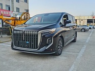 Hongqi HQ9 2024
