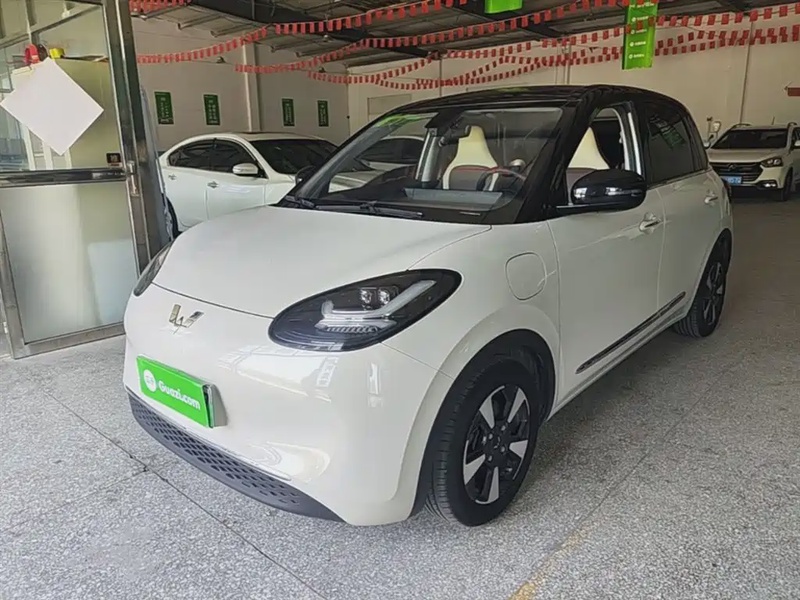Wuling Bingo