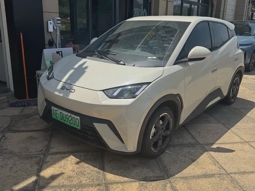 BYD Seagull 2024
