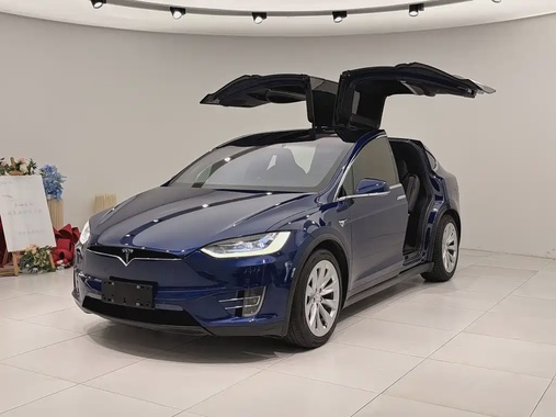 Tesla Model X 2018