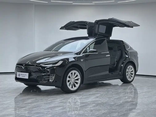 Tesla Model X 2021
