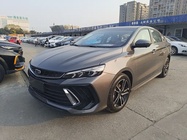 Geely Binrui 2023