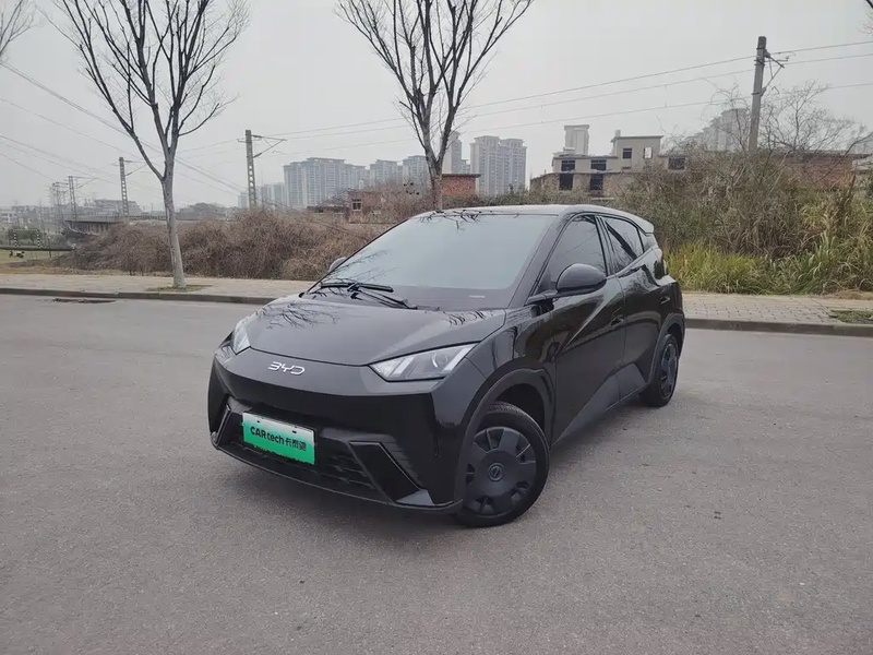 BYD Seagull