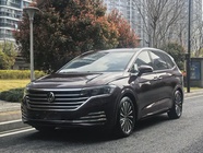 Volkswagen Viloran 2020