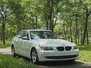 BMW 5 Series 2010