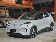 Wuling Bingo 2024