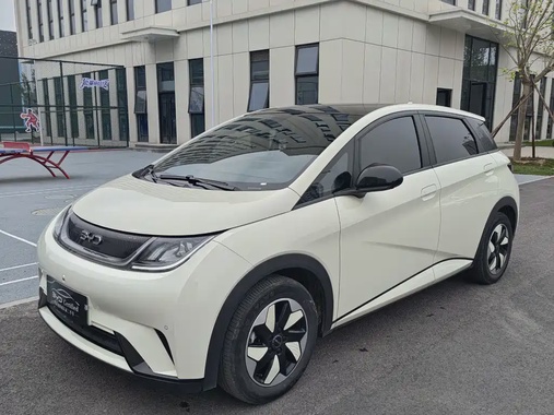 BYD Dolphin 2024